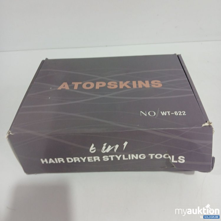 Artikel Nr. 818186 Artikel Nr. 818186: Atopskins 6in1 Hair Dryer Styling Tools WT-622