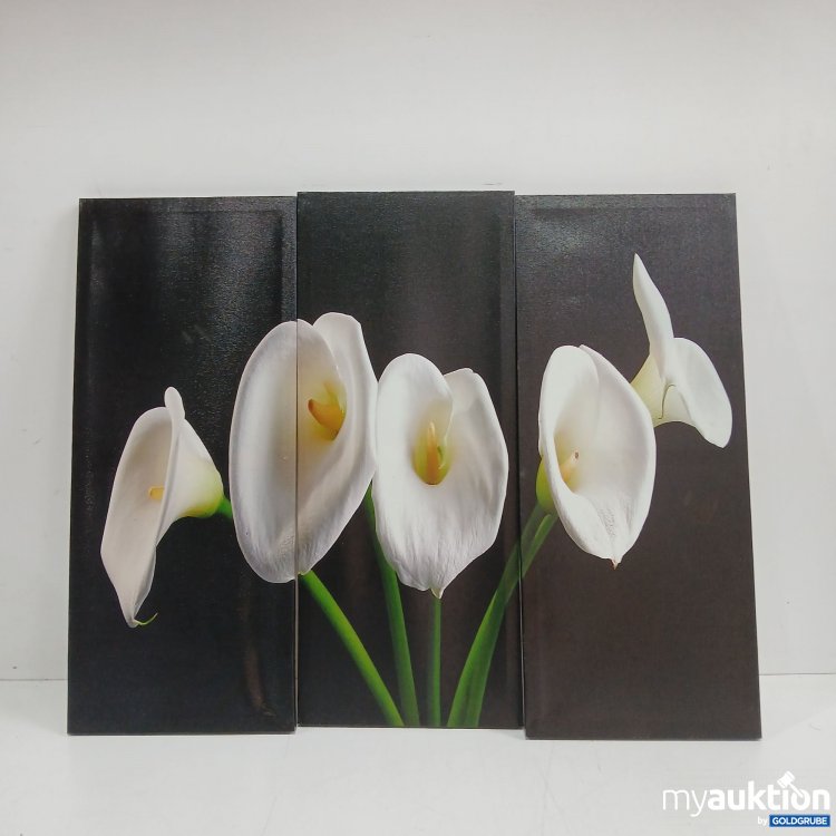 Artikel Nr. 982187: Leinwandbild 3x 60x25cm 
