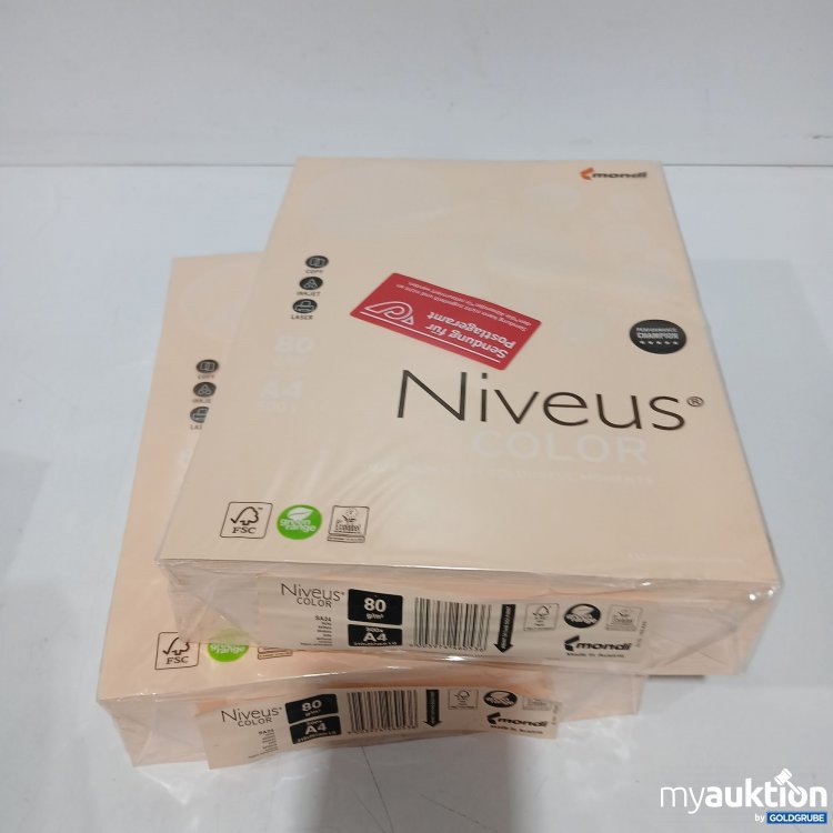 Artikel Nr. 895190: Mondi Niveus Color A4 2x500Blatt 