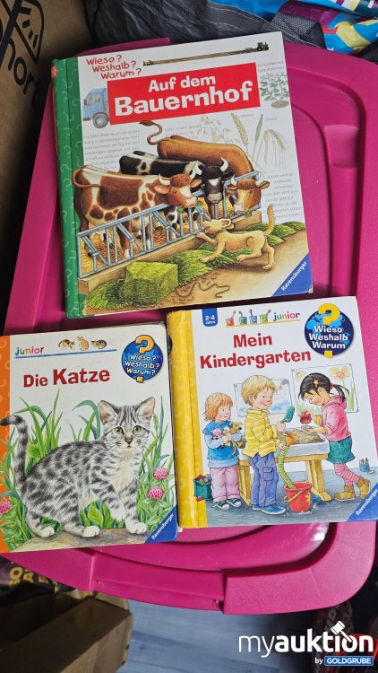 Artikel Nr. 394195 Artikel Nr. 394195: Wieso Weshalb Warum Bücherset