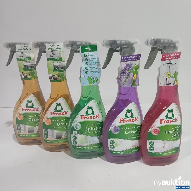 Artikel Nr. 876197 Artikel Nr. 876197: Diverse Frosch Reiniger 5x500ml