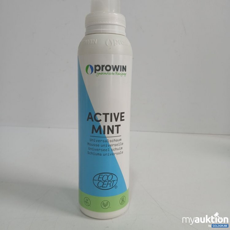 Artikel Nr. 977197: prowin ACTIVE MINT Universalschaum, 1000g