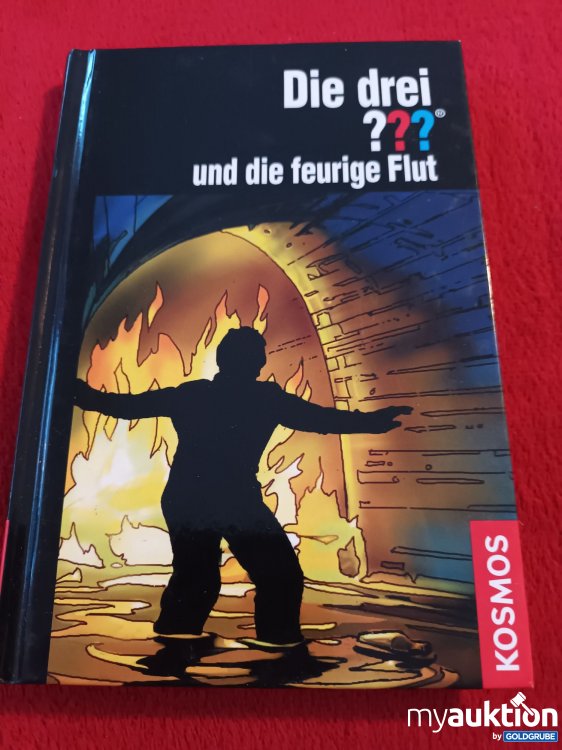 Artikel Nr. 941199 Artikel Nr. 941199: Die drei ??? und die feurige Flut