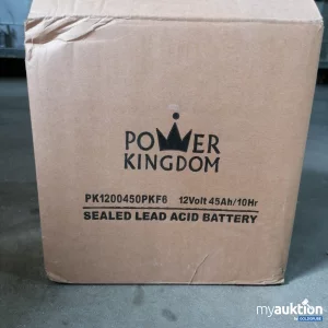 Auktion Power Kingdom Versiegelte Bleibatterie