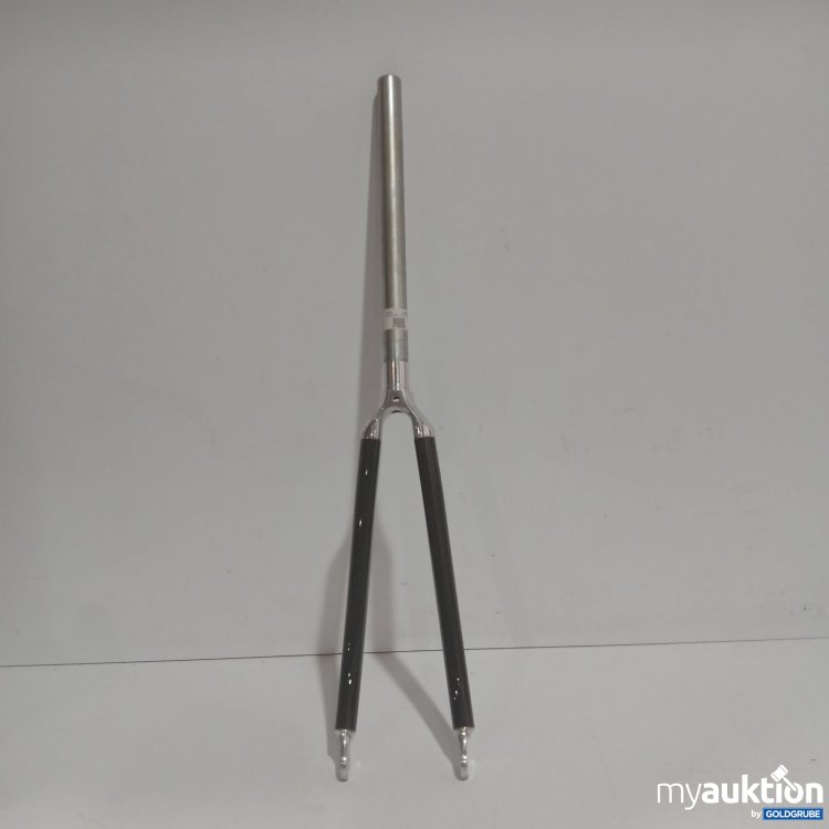 Artikel Nr. 960203: Composite Kinesis Carbon 2 650c 2074 2.738.30 Rennradgabel 