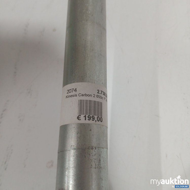 Artikel Nr. 960203: Composite Kinesis Carbon 2 650c 2074 2.738.30 Rennradgabel 