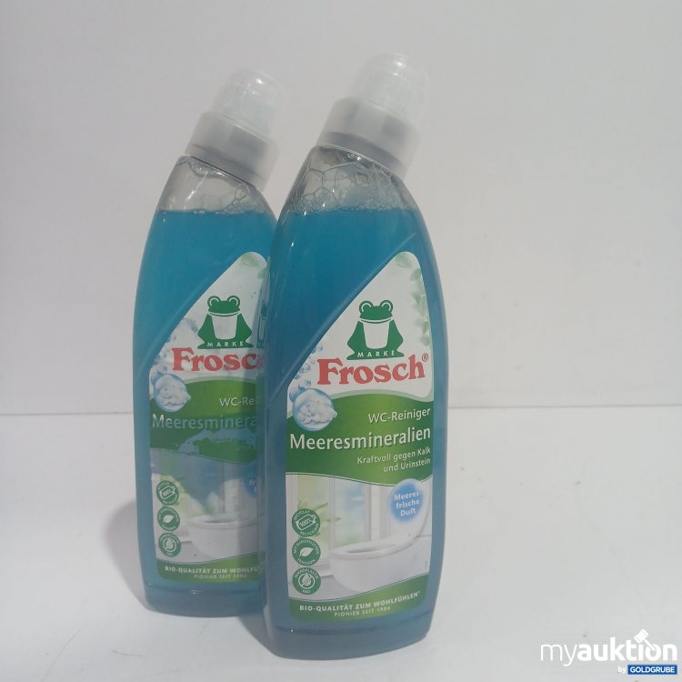 Artikel Nr. 859205: Frosch WC Reiniger Meeresmineralien je 750ml 