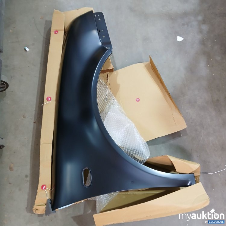 Artikel Nr. 955207 Artikel Nr. 955207: Kotflügel vorne links