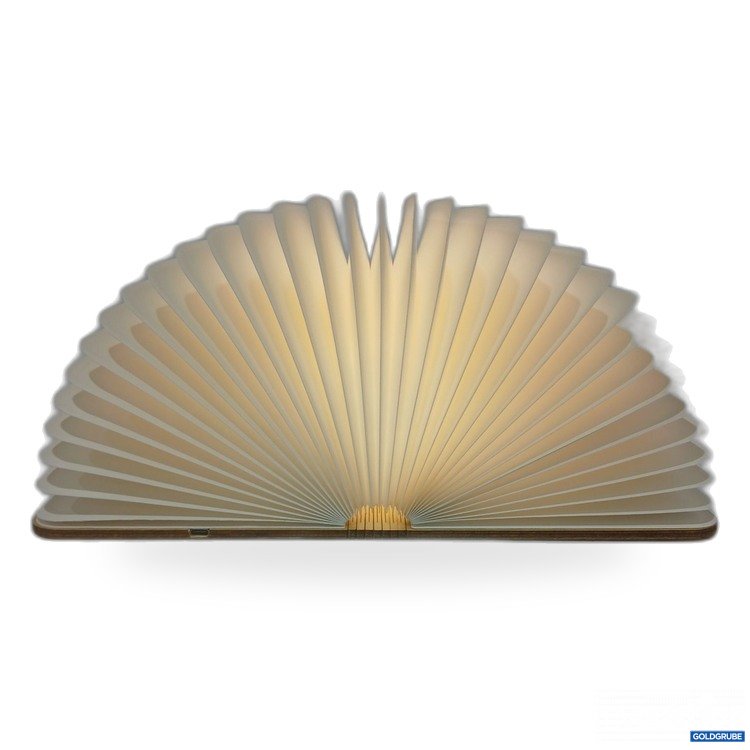 Artikel Nr. 444210 Artikel Nr. 444210: LED Book Lamp