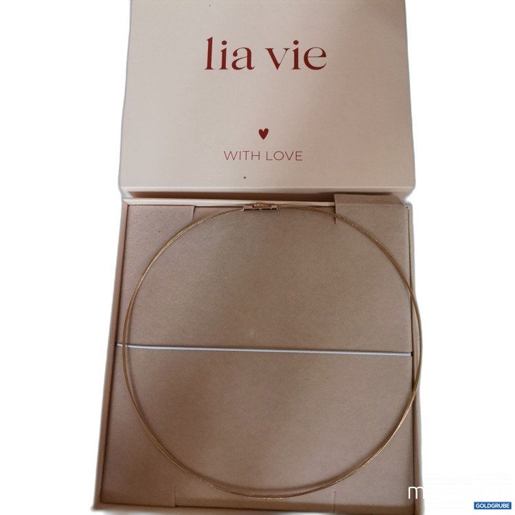 Artikel Nr. 674210 Artikel Nr. 674210: Lia Vie Halskette