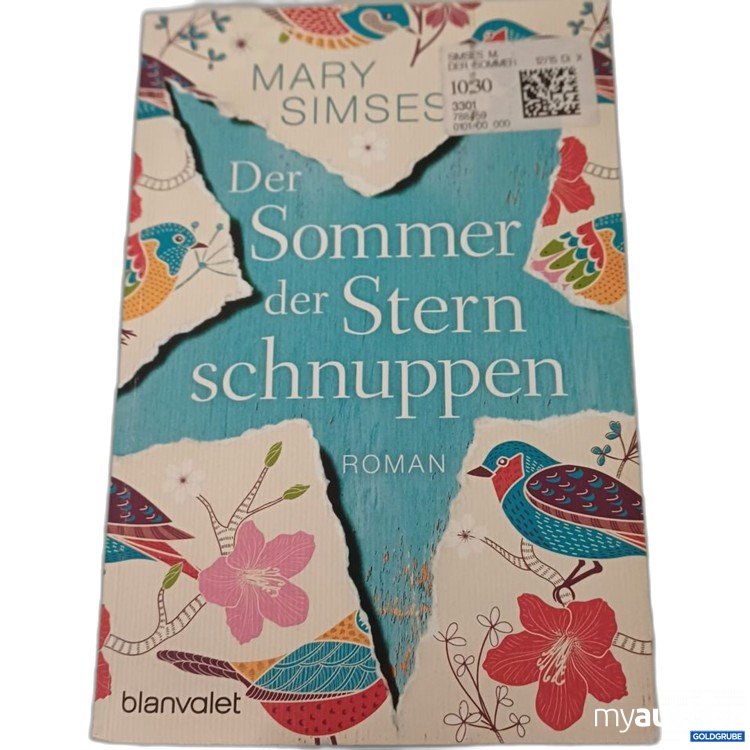 Artikel Nr. 957210: blanvalet Der Sommer Sternschnuppen Roman