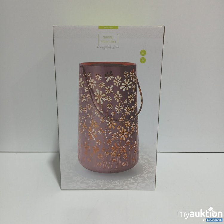 Artikel Nr. 915211 Artikel Nr. 915211: Sunny Selection Antic Lantern Daisy 28x46cm