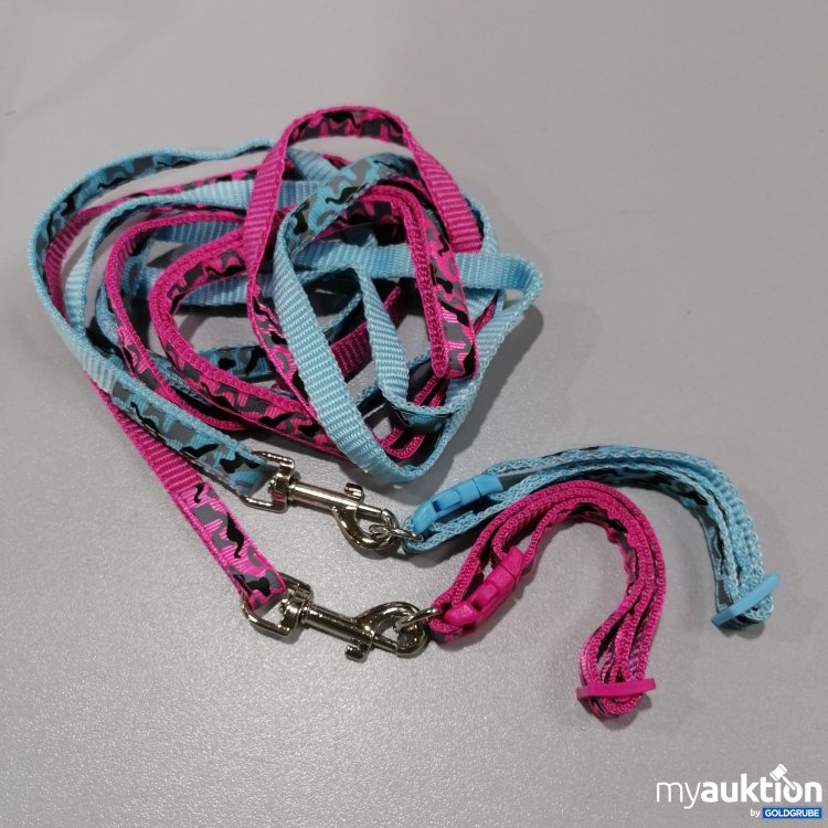 Artikel Nr. 384213 Artikel Nr. 384213: Hundeleine mit Halsband