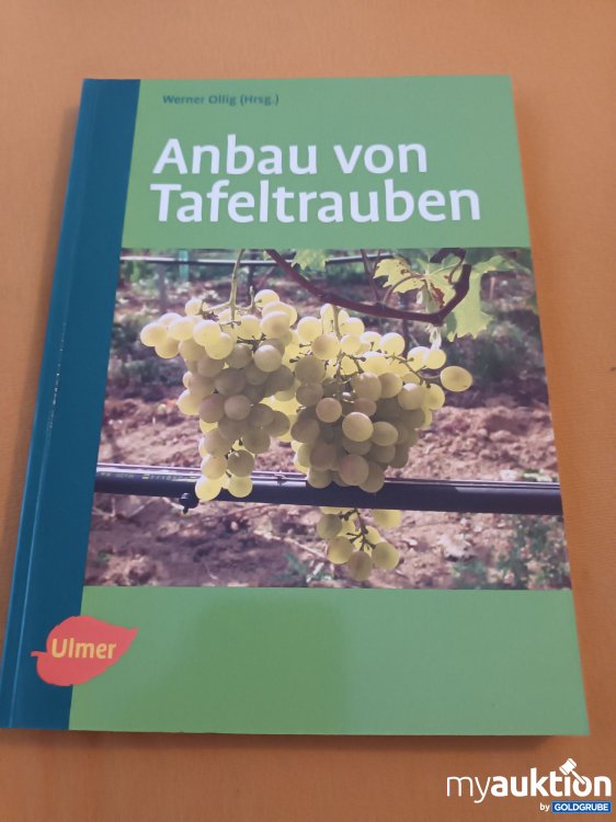 Artikel Nr. 901213: Anbau von Tafeltraiben