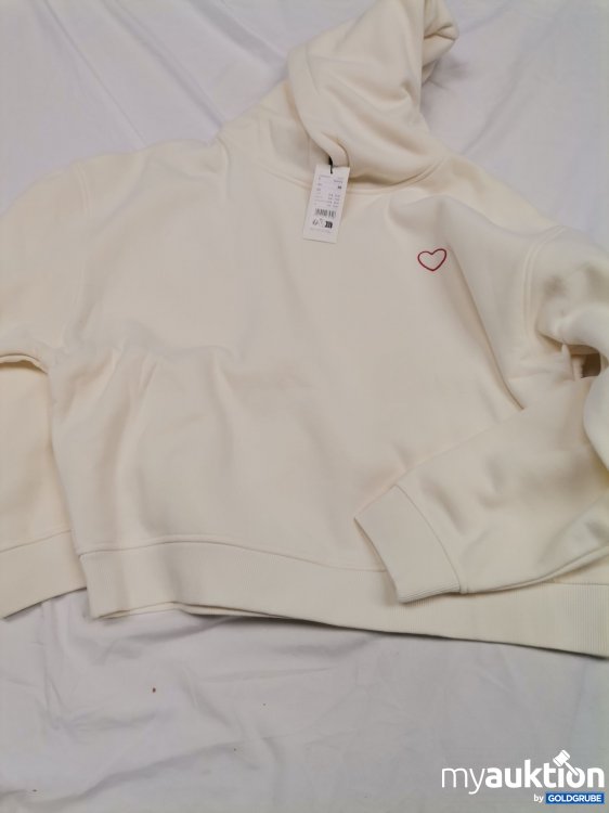 Artikel Nr. 435220: Opus Hoodie 