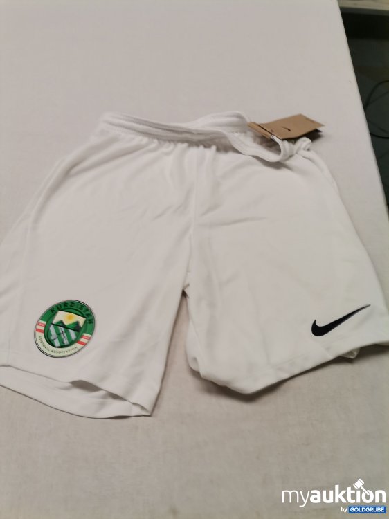 Artikel Nr. 735225 Artikel Nr. 735225: Nike Kurdistan Shorts