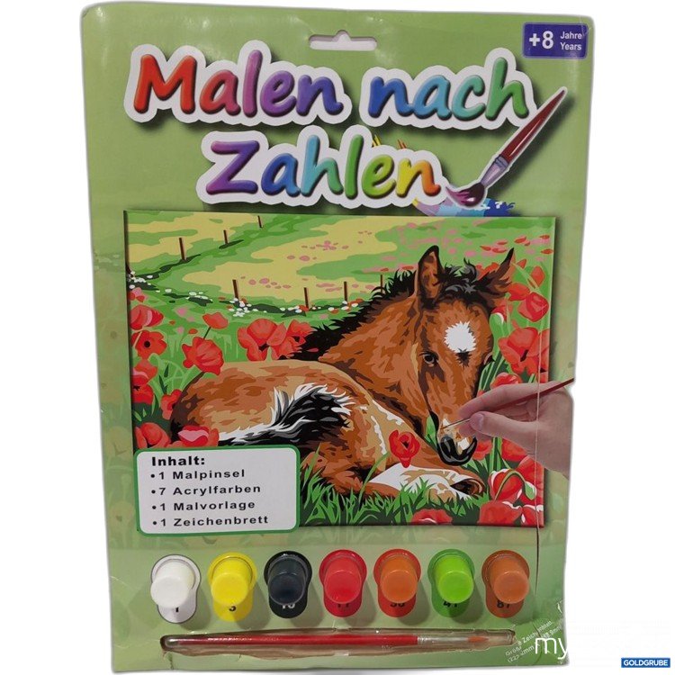 Artikel Nr. 917226: Malen nach Zahlen Pferd Malset