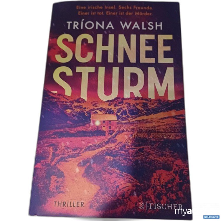Artikel Nr. 957228: Tríona Walsh Schnee Sturm Thriller