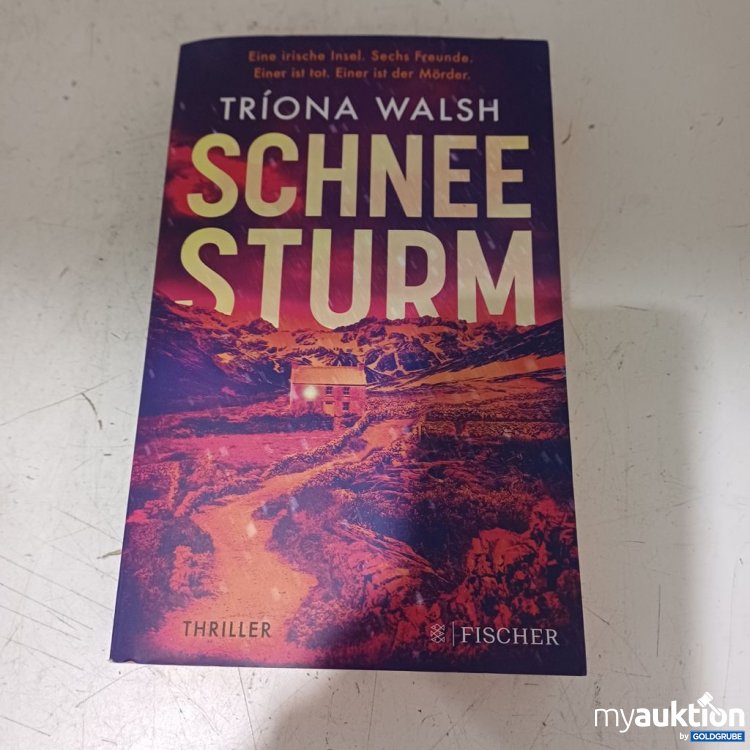 Artikel Nr. 957228: Tríona Walsh Schnee Sturm Thriller