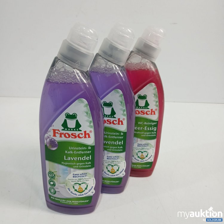 Artikel Nr. 886234: Frosch WC Reiniger diverse Sorten 