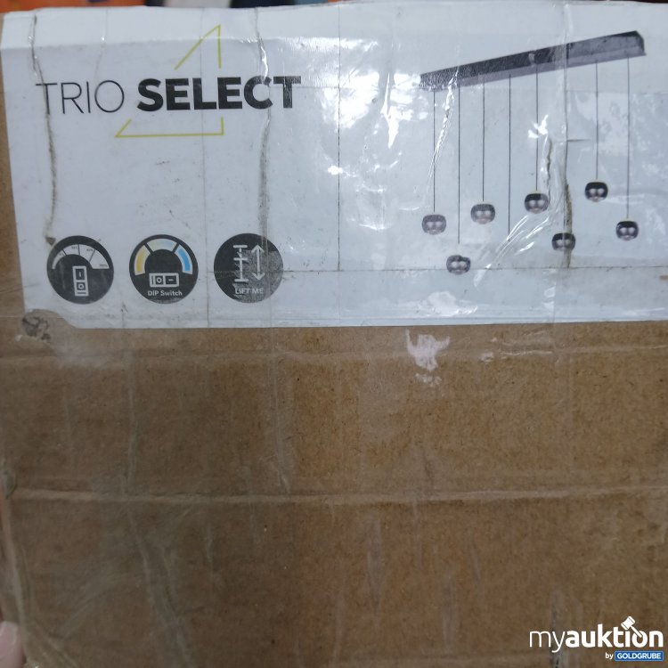 Artikel Nr. 827237: Trioselect Hängelampe 8x960 Lumen 