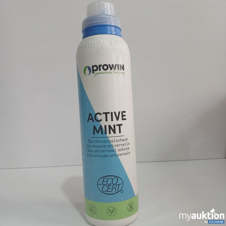 Artikel Nr. 848239 Artikel Nr. 848239: Prowin Active Mint Öko Universalschaum 1000g