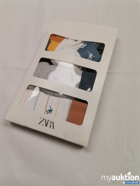 Artikel Nr. 841240: Zara Trunks 