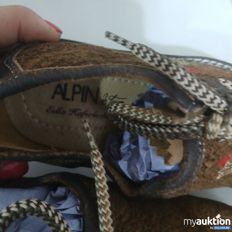 Artikel Nr. 990241: ALPIN Haferlschuh braun