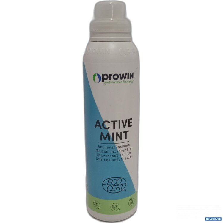 Artikel Nr. 959242: Prowin active Minte Universalschaum 1000g