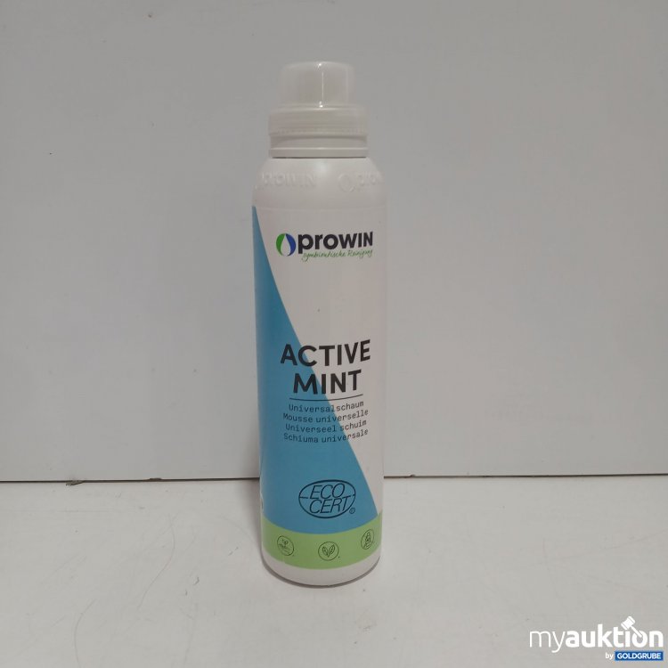 Artikel Nr. 959242: Prowin active Minte Universalschaum 1000g