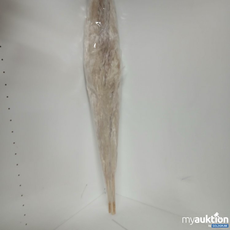 Artikel Nr. 828245: Pampasgras Naturbündel 62cm