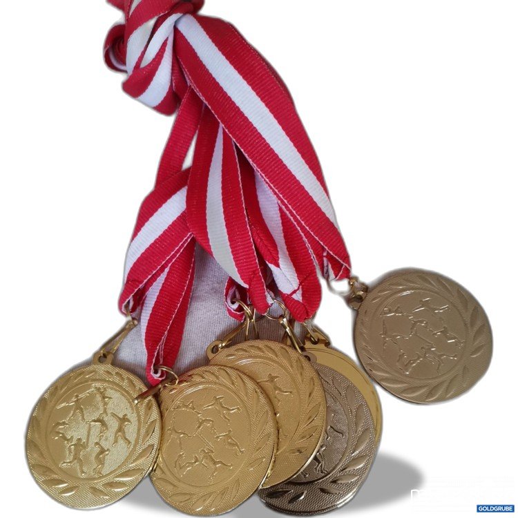 Artikel Nr. 674247: Medaillen