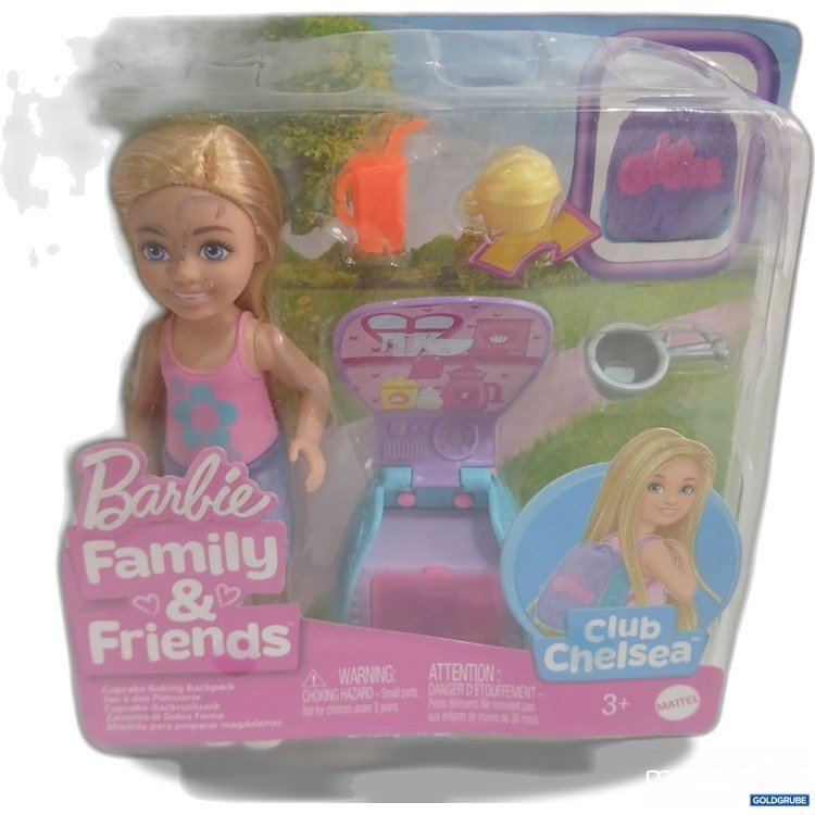 Artikel Nr. 919249: Barbie Family & Friends Chelsea Puppe mit Zubehör