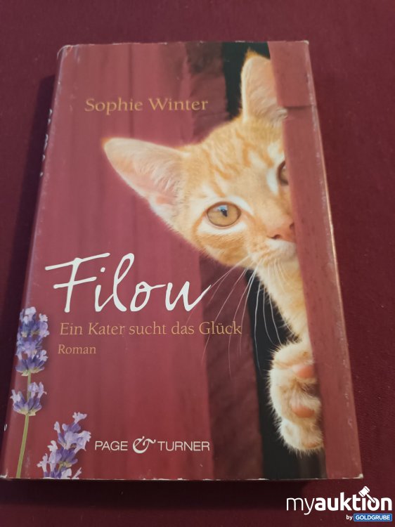 Artikel Nr. 999251: Filou, ein Kater sucht das Glück
