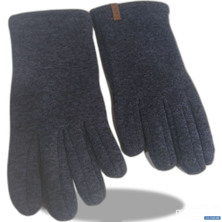 Artikel Nr. 939252 Artikel Nr. 939252: Handschuhe blau