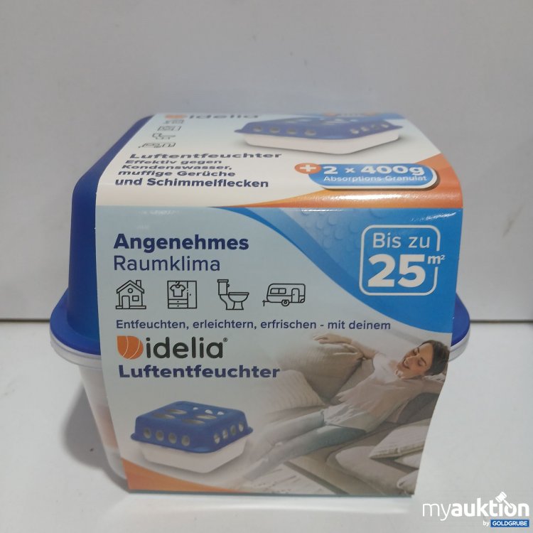 Artikel Nr. 98252: Idelina Luftentfeuchter 2x400g 
