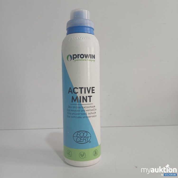 Artikel Nr. 848256 Artikel Nr. 848256: Prowin Active Mint Öko Universalschaum 1000g