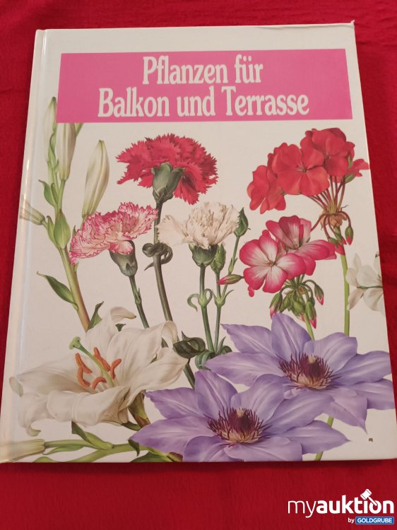 Artikel Nr. 927261: Pflanzen für Balkon und Terrasse
