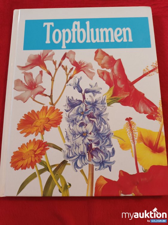 Artikel Nr. 927262: Topfblumen
