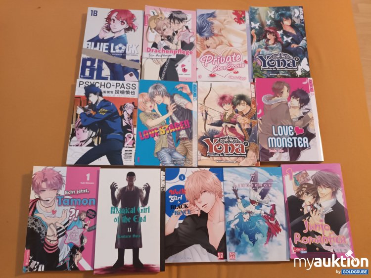 Artikel Nr. 901268: 13 Mangas