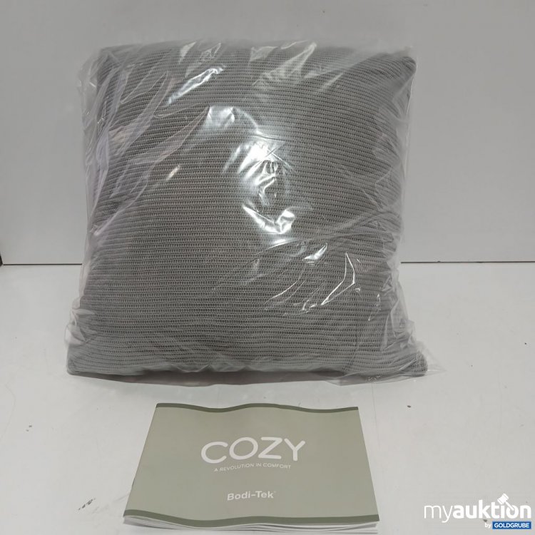 Artikel Nr. 921269: COZY Heizkissen Bodi-Tek ca 40x40
