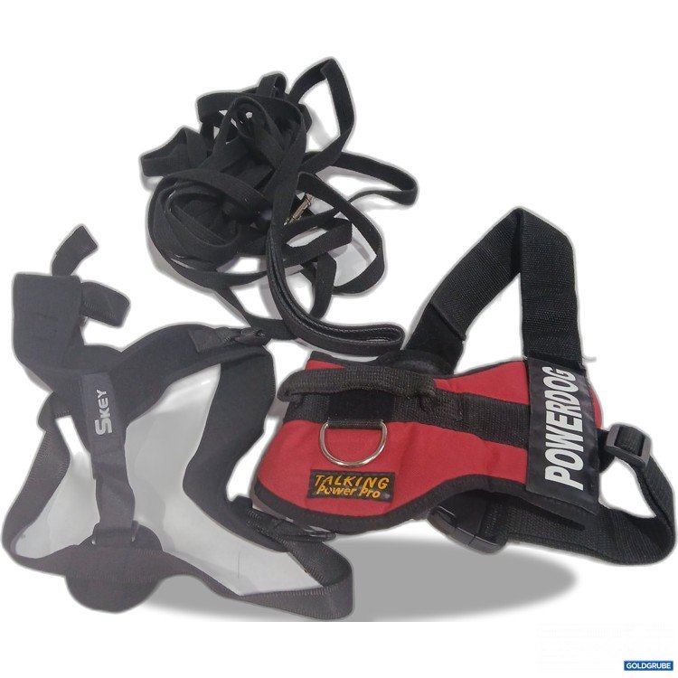 Artikel Nr. 964273: Diverse Hundegeschirr / Leine 