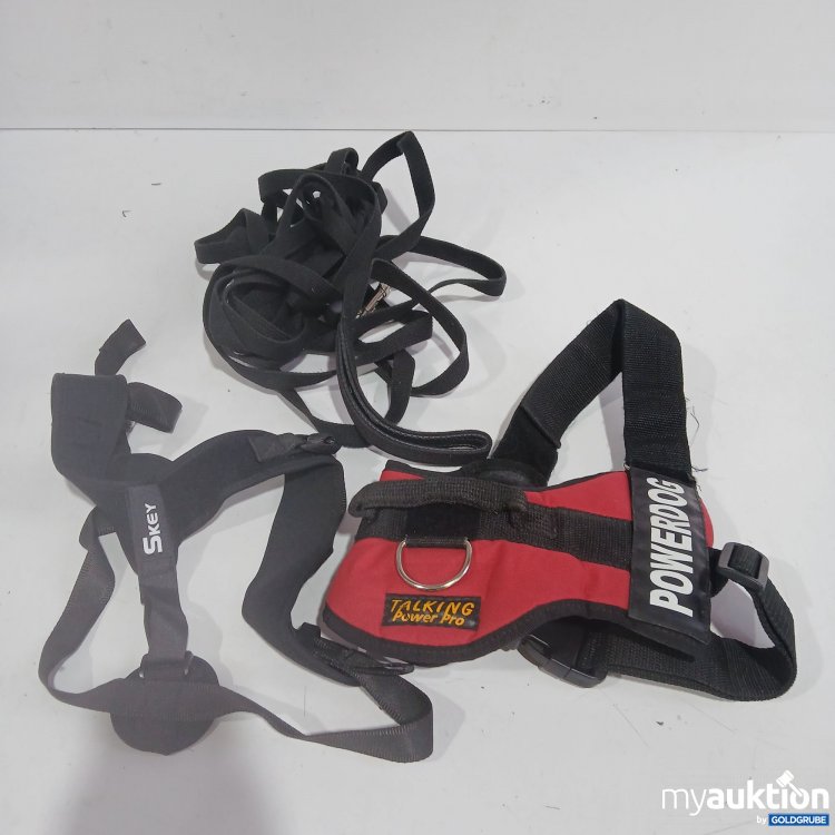 Artikel Nr. 964273: Diverse Hundegeschirr / Leine 