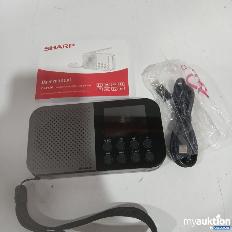 Artikel Nr. 916276: Sharp Portable DAB Radio 