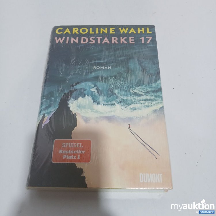 Artikel Nr. 851279: Windstärke 17