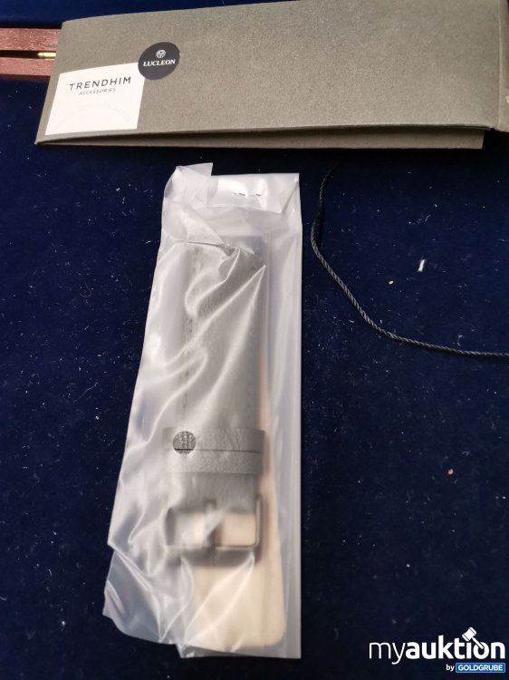 Artikel Nr. 786280: Lucleon Watchband