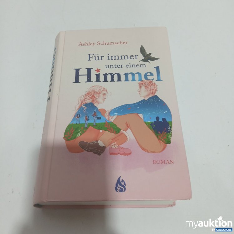 Artikel Nr. 851281: Für immer Unter einem Himmel Roman