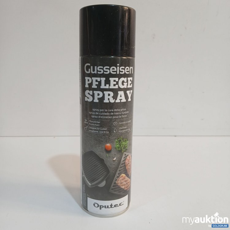Artikel Nr. 873281: Oputec Gusseisen Pflege Spray 500ml