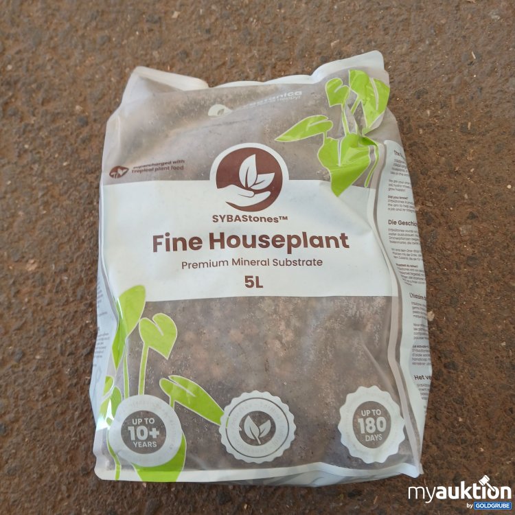Artikel Nr. 956284: Sybastones Finr Houseplant 5l