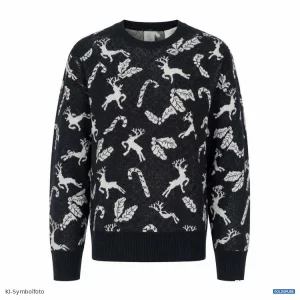 Artikel 435286: Jack&Jones Pullover 